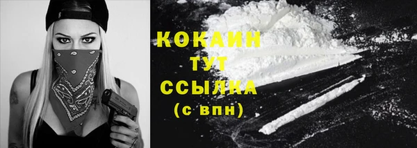 твердый Коряжма