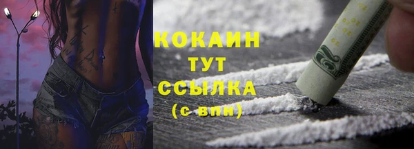 прущие крисы Кодинск