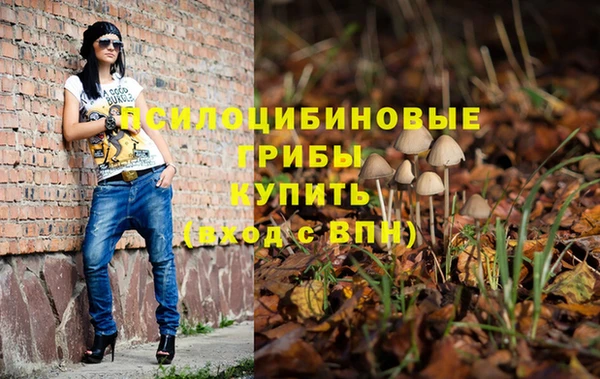 прущие крисы Кодинск