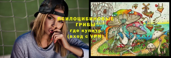 прущие крисы Кодинск