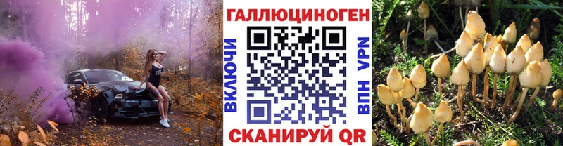 Галлюциногенные грибы мицелий Волхов