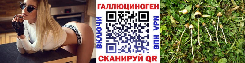 Псилоцибиновые грибы Cubensis  Купить где  Волхов 