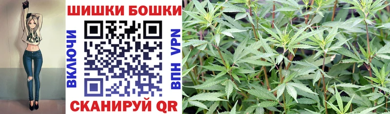 Купить  Волхов  Бошки марихуана ГИДРОПОН 